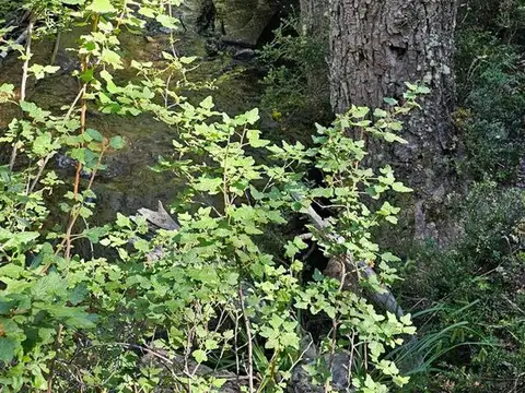 Terreno en Venta de 2041,0 m2