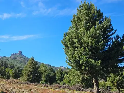 Terreno en Venta de 2041,0 m2