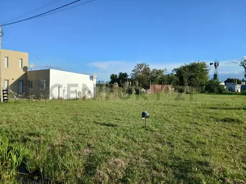 Terreno en Venta 48  mts Fondo