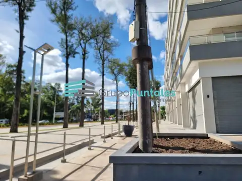 Local en Alquiler A Estrenar