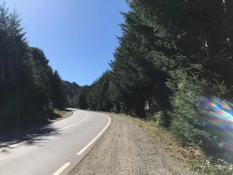 Terreno en Venta de 12160,0 m2