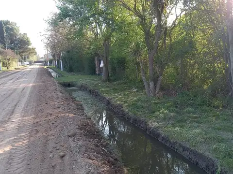 La Golondrina