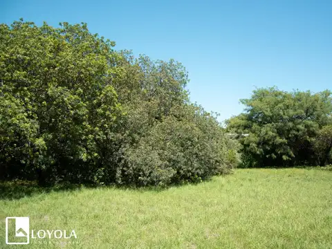 Terreno en Venta, FOT 30