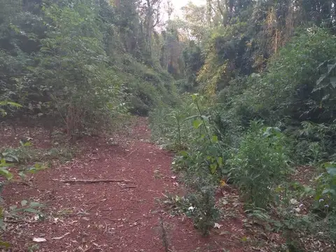 Paraiso, San Pedro, Misiones