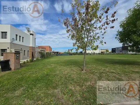 Terreno en Venta 30  mts Fondo