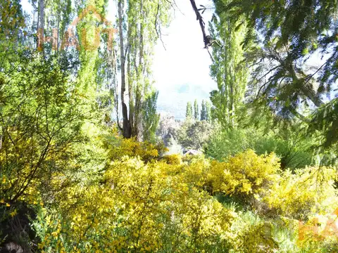 Terreno en Venta en Villa Traful, USD 950.000