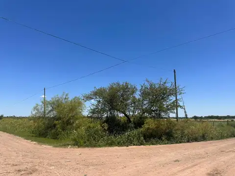 Alem y La Plata