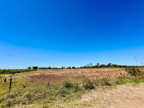 Alem y La Plata