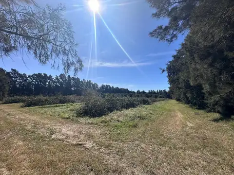 Venta de Campo sobre Ruta 1 Kilometro 16