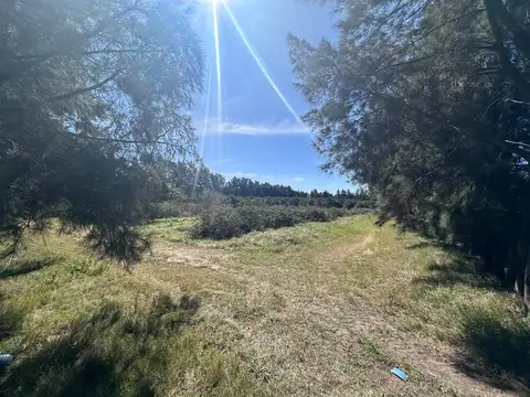 Venta de Campo sobre Ruta 1 Kilometro 16