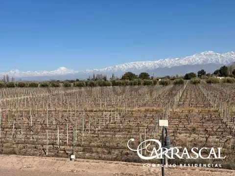Terreno en Venta de 1357,0 m2