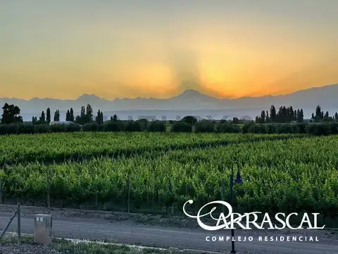 Terreno en Venta en Lunlunta, USD 99.000