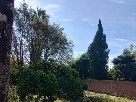 Terreno en Venta 10  mts Frente