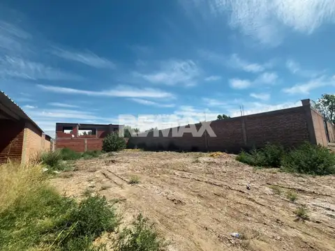 Francisco Espinoza 100