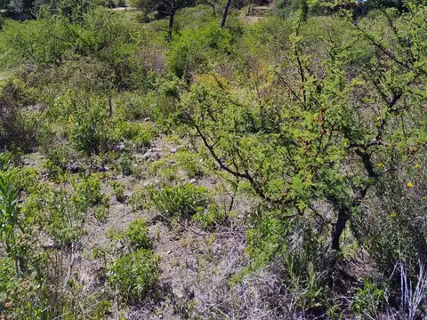 Terreno en Venta en La Pampa, USD 60.000