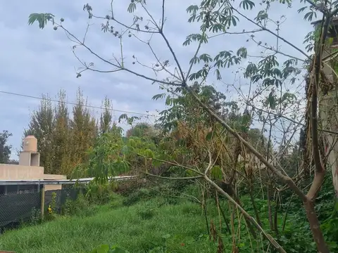 Terreno en Venta 32  mts Fondo