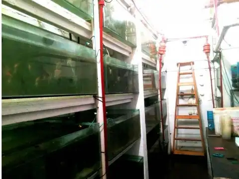 Galpon en Alquiler A Estrenar