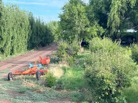 venta finca en produccion chapanay
