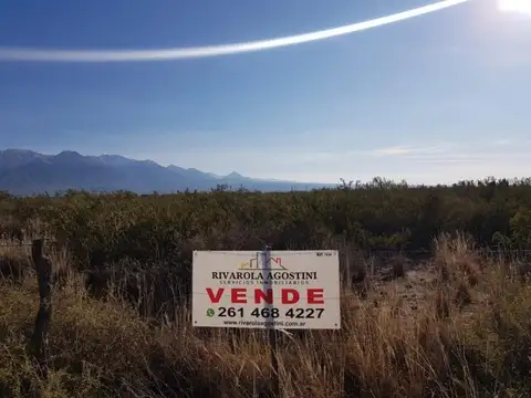 Ruta 84