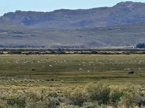 Campo en Venta de 2.500  ha