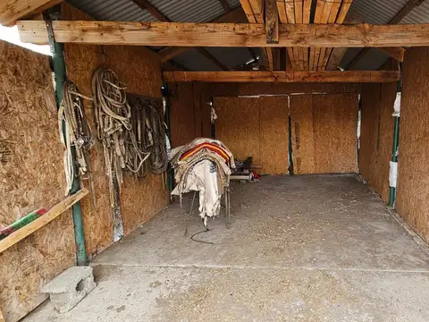 Campo de 2500 has en Aldea Apeleg