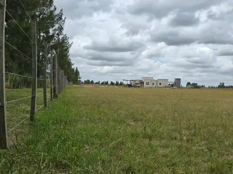 Terreno en Venta de 11517,0 m2