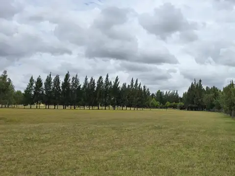 Aristóbulo Del Valle Y La Victoria 1350