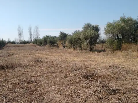 Terreno en Venta de 4175,0 m2