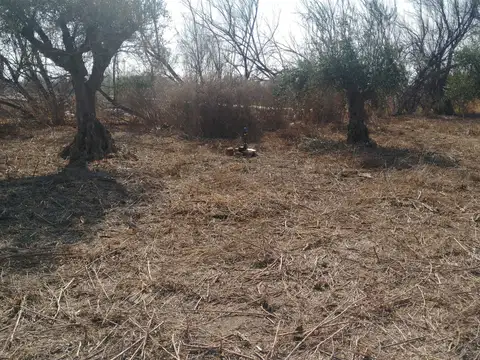 Terreno en Venta de 4175,0 m2