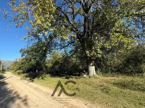 Terreno en Venta de 88811,0 m2