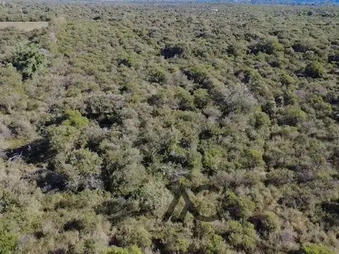 Terreno en Venta 175  mts Frente
