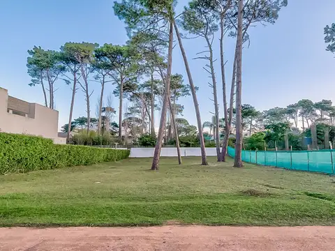 Boulevard Park Punta del Este