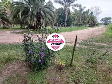 CHACRA - EL VARADERO - COLONIA SUIZA - BARADERO