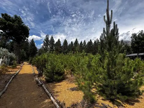 Lote en Venta, Bariloche-Club de Campo, Dos Valles.