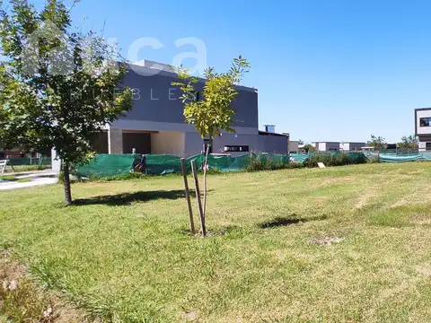 Terreno - La Pista