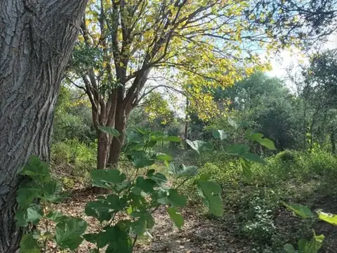 Terreno en Venta en Capilla del Monte, USD 8.000