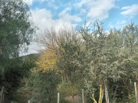 Terreno en Venta de 555,0 m2