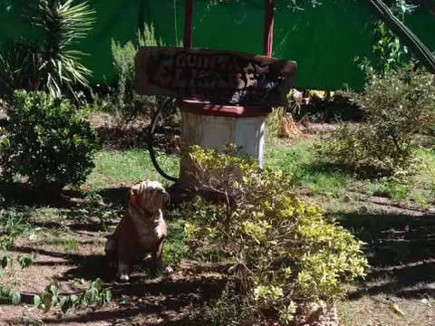 vendo casa quinta en Km40, Virrey del Pino