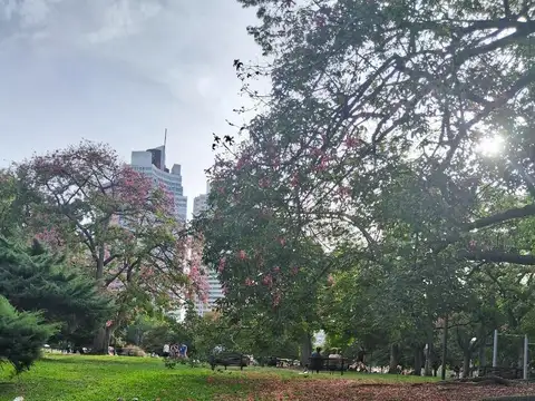 Departamento en Venta 50 años