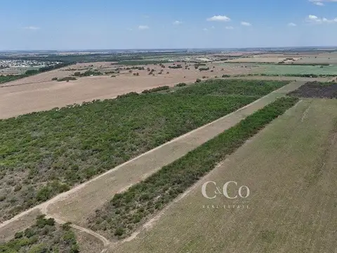 SE VENDE POTENCIALES 155 HAS SOBRE RUTA EX RURAL N°7- VILLA MERCEDES, SAN LUIS