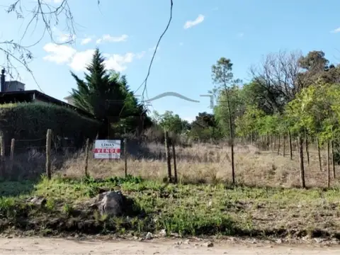 Terreno en Venta de 500,0 m2