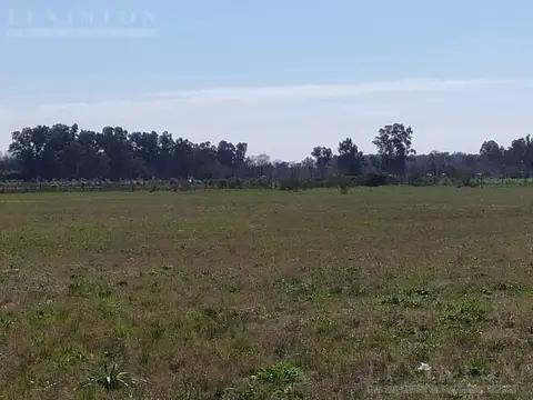 OPORTUNIDAD - Venta parcela 40x50 M. Acosta excelente acceso. Acepta permuta