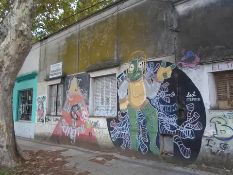 INVERSION - LOTE ESQUINA 11 X 20 - CASA MAS LOCAL MAS GARAGE - A REFACCIONAR -