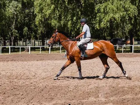 Terreno en Venta en Francisco Alvarez, USD 550.000