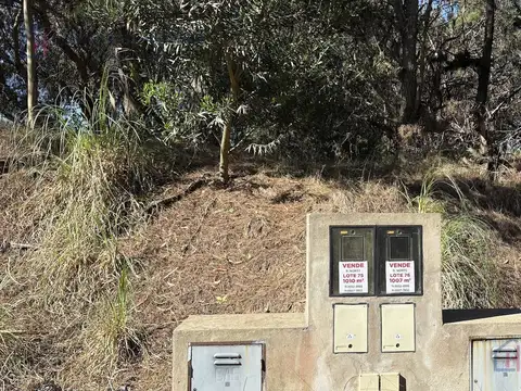 Terreno en Venta 20  mts Fondo