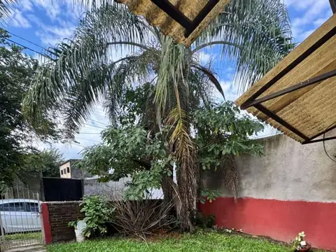 LOS PINOS 100