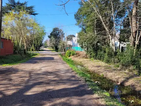 7(ex 14) e/ 57(ex 406) y 58(ex 407)