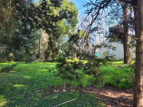 7(ex 14) e/ 57(ex 406) y 58(ex 407)