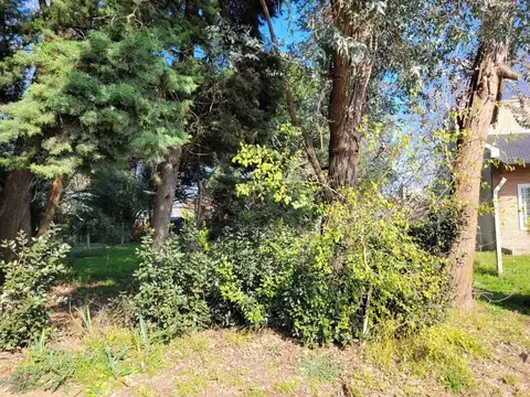 LOTE EN VENTA VILLA ELISA