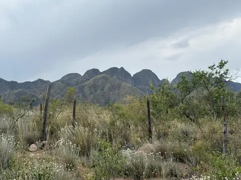 VENTA DE TERRENO 5000M2 ZONA DEL RINCON SUIZO